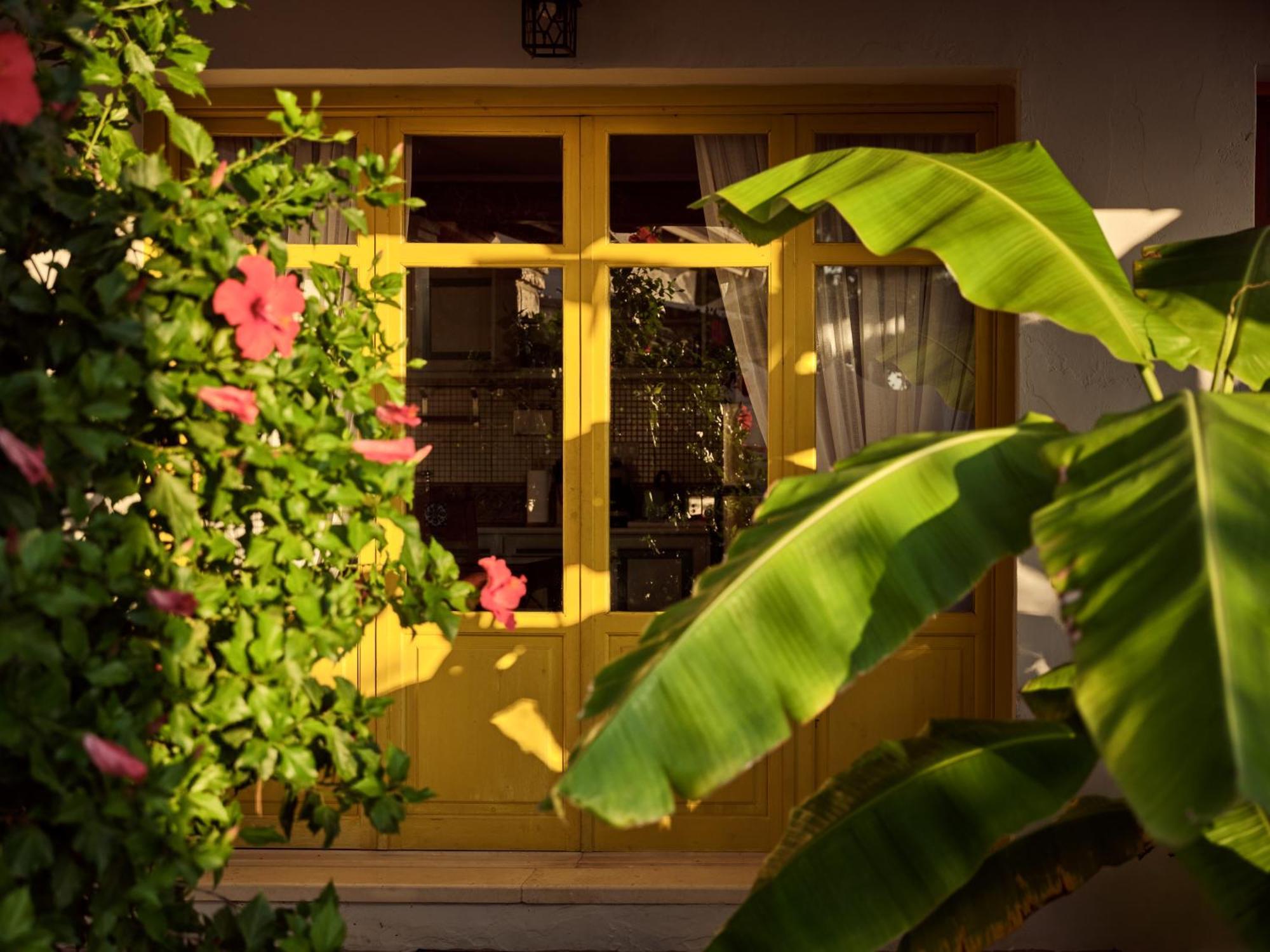 Zakynthos Villas Василикос Экстерьер фото